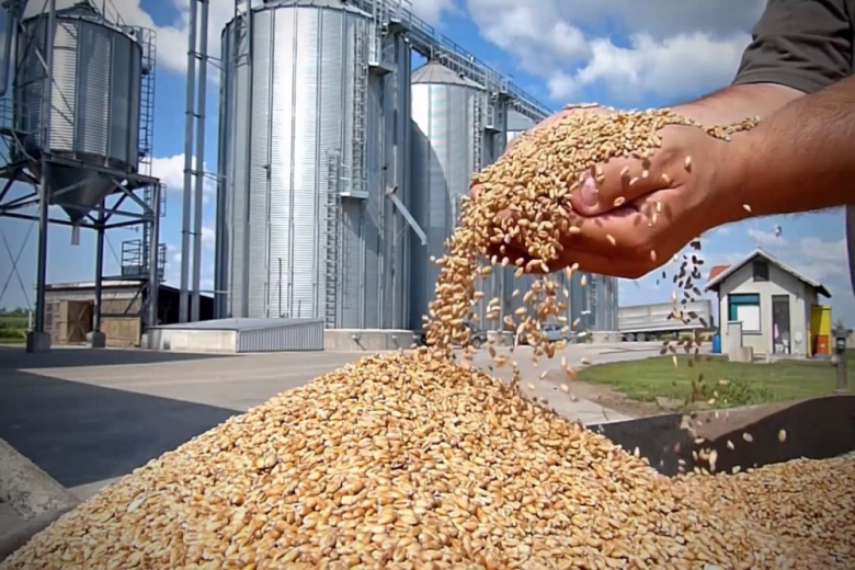 В РФ изменились правила проведения зерновых интервенций